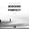 Download track Nobodys Perfect