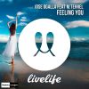 Download track Feeling You (Radio Edit)