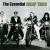 Download track Cheap Trick (Previously Unissued Outtake)