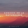 Download track Amanecer De La Inocencia