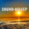 Download track Soothing Sunrise Lakeshore Ambience, Pt. 13