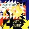 Download track Burnt Sugar (Danny's Full On Mix)