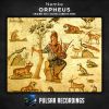 Download track Orpheus (Original Mix)