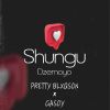 Download track Shungu Dzemoyo