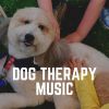 Download track Music For A Calm Hound, Pt. 17