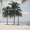 Download track Tasteful Ambiance For Beaches