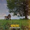 Download track Spring Storm