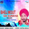 Download track Mil Geya Sath Ameera Da