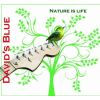 Download track º Nature Is Life, Thanks Carlos Santana. 