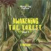 Download track Sleeping Forest