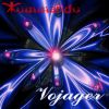 Download track Vojager