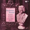 Download track Beethoven' Piano Sonata No. 21 In C Major, Op. 53 Waldstein' III. Rondo. Allegretto Moderato - Prestissimo