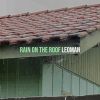 Download track Rain On The Roof To Sleep, Pt. 9