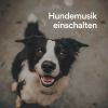 Download track Machen Sie Ein Nickerchen Mit Ihrem Hund