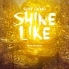 Download track Shine Like