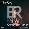 Download track Seeing The Future (Extended Mix)