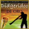 Download track Didge Cielo Música Para Sanación