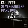 Download track Schubert: Variations Sur Un Théme Original In A-Flat Major, Op. 35, D. 813: Var. VII Piú Lento