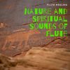 Download track Native Indian Song - Forest Sounds