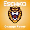 Download track Orange Fever (Extended Mix)