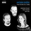 Download track Piano Trio No. 4 In E Minor, Op. 90, B. 166: V. Allegro - Meno Mosso