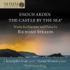 Download track Enoch Arden, Op. 38, TrV 181 (Narrated In English): Thus Over Enoch's Early Silvering Head