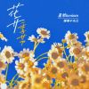 Download track 花开季节 (伴奏)