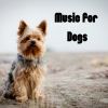 Download track Dog Music