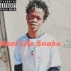 Download track Real Life$ Nake