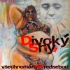 Download track Vsechno Mame Pred Sebou