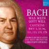 Download track 22. Wo Gott Der Herr Nicht Bei Uns Halt, BWV 178 II. Was Menschenkraft Und -Witz Anfäht (Recitative & Choral)