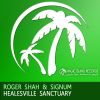 Download track Healesville Sanctuary (Roger Shah Mix)