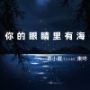 Download track 你的眼睛里有海 (伴奏)