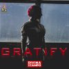 Download track Gratify (Remix; Hardino Remix)