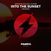 Download track Into The Sunset (Nexus DJ Remix)