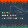 Download track El Revolucionario