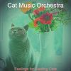 Download track Modern Ambience For Cats