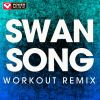 Download track Swan Song (Workout Remix)