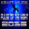 Download track Pulse Of The Night 2035 (Borg City Remix)