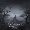 Download track Return To Void