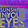 Download track Sunshine In Your Eyes (Stefano Reis Edit Remix)