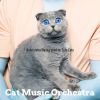 Download track Background For Cute Cats