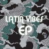 Download track Latin Vibes (Original Mix)