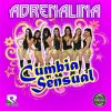 Download track Embrujo De Cumbia