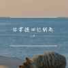 Download track 谁又怕失去我