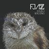 Download track Owl