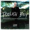 Download track Foolish Boy (John O'Callaghan Album Edit)