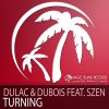 Download track Turning (Dave-PL Remix)