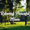 Download track Meditation Entspannende Schwingungen