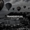 Download track Transsexual